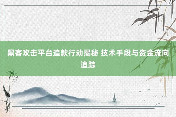 黑客攻击平台追款行动揭秘 技术手段与资金流向追踪